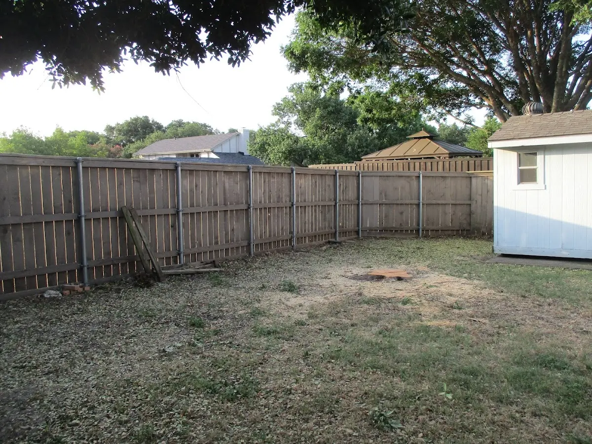 Cleared yard after professional tree removal in Lone Oak