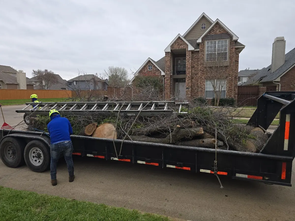Expert Tree Fertilization with proper safety equipment in Lone Oak
